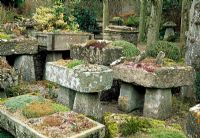 The troughery garden - Rodmarton Manor, Gloucestershire
