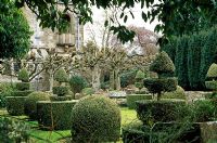 The Topiary Garden with knobbly limes in Winter Garden beyond - Rodmarton Manor, Gloucestershire