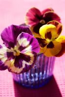Yellow, pink and purple pansies in blue ribbed glass vase