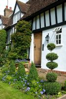 Front of house with clipped topiary - Croft Cottage, Benington, Hertfordshire 