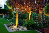 Illuminated tree and water feature