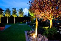 Illuminated tree and water feature in garden