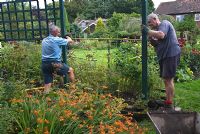 Erecting a trellis in a private garden