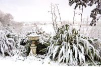 Phormium and urn under snow at Honeybrook House Cottage, Worcestershire