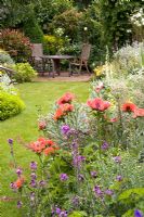 Poppies in the cottage garden with table and chairs at Honeybrook House Cottage, Worcestershire