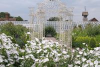 Lavatera 'Mont Blanc' and white wirework arbour in The Kitchen Garden, Arley Hall and Gardens, Cheshire