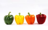 Selection of full colour range of sweet peppers Capsicum annuum