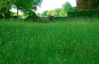 Flower rich chalk meadow below formal yew hedging of the green garden and 'Druid', a bronze bull by Nicola Toms - Cranborne Manor Garden, Cranborne, Dorset
