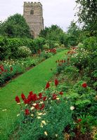 Church walk bedded out with Antirrhinum 'Liberty Crimson', Argyranthemum 'Vanilla Ripple', Pelargoniums and Felicia - Cranborne Manor Garden, Cranborne, Dorset 