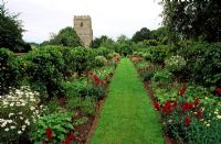 Church walk bedded out with Antirrhinum 'Liberty Crimson', Argyranthemum 'Vanilla Ripple', Pelargoniums and Felicia - Cranborne Manor Garden, Cranborne, Dorset