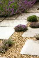 Thyme pavement - Planting for dry areas