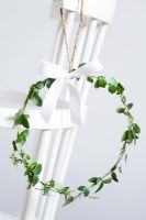 Simple Christmas wreath made of Vinca minor foliage with white ribbon