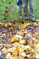 Man using electric leaf blower to clear autumn leaves from lawn