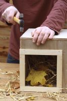 Step by step 8 of making a hedgehog house - Nailing lid on to wooden box full of straw and dry leaves
