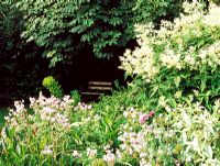 Mixed border with seating area in background - Lower Severalls