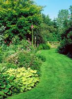 Mixed bed with curved grass pathway - Lower Severalls