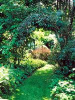 Grass path and rose arch - Lower Severalls