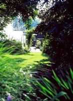 View through leaves to lawn beyond - Lower Severalls