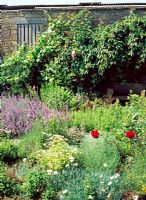 Herb garden - Lower Severalls