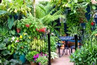 Terrace in small tropical Moroccan style garden with Brugmansia, Dicksonia antarctica and other exotic plants in pots