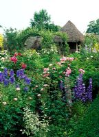 Secluded rose garden with heather - thatched rustic gazebo, Campanula latiloba, Delphinium mixed dwarf varieties from seed, Eleagnus angustifolius 'Quicksilver', Rosa complicata, Rosa 'Roserie de L'Hay' and Rosa 'Bonica' - Lawkland Hall, Yorkshire