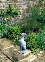 Lead greyhound by herb garden filled with Foeniculum vulgare 'Purpureum', Thyme and Origanum, Helianthemum 'Highdown Apricot' edged with young Buxus balls - Lawkland Hall, Yorkshire