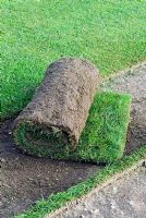 Roll of turf cut from area of commercial cultivation
