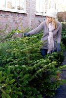 Woman selecting Christmas tree