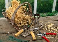 Collection of topiary clippers, shears and secataurs with raffia in a basket - River Garden Box Nursey