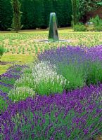 Mounds of Lavandula 'Hidcote', 'Mountain Pink' and 'Buena Vista' billow in front of mirrored water feature - Downderry Lavender Nursery