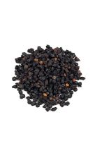 Elder berries herb, Sambucus nigra. This is used in herbal medicine to treat colds, catarrh, fevers and arthritic compliants
