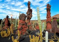 Cacti with in black volcanic gravel with rock monoliths - Jardin de Cactus, Lanzarote