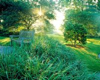 Dawn over the Japanese Landscape, RGB Kew with foliage Iris unguicularis and wooden bench