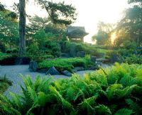 Dawn over the Japanese Landscape, with the light green foliage of Matteuccia struthiopteris in the foreground. RGB, Kew.