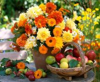 Vase of Dahlias, Calendula and Matricaria and fruit in wooden trug