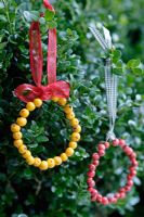 Christmas decorations made from red and orange Pyracantha berries hung from ribbons in box shrub