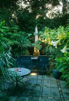 Small town garden in early evening with various lighting and Datura in pots - Clapham, London