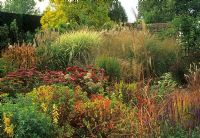 Autumnal border of Grasses and Sedums - Glen Chantry, Essex