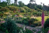 Mixed flowerbeds including Digitalis, Rosa and Osteospermum - Gravetye Manor, West Sussex