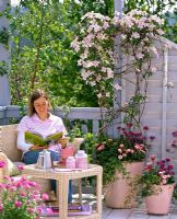 Woman sitting on balcony with pink wicker furniture beside containers of Clematis montana 'Rubens' underplanted with Bellis, Erysimum, Hedera, Euphorbia and Tulipa 'Ballade'