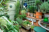Smallest garden in the NGS at 20ft x 18ft - 28 Kensington Road, St.George, Bristol