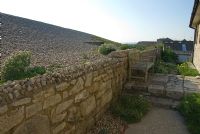 Stone platform with bench sits between the Chesil Gallery and looming form of the Chesil Bank. Seaside plants growing inside and outside the boundary wall include Glaucium flavum, Silene vulgaris, and  Crambe maritima - Chesil Gallery, Chiswell, Isle of Portland, Dorset