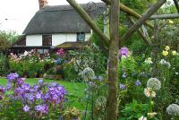 View across lawn to thatched cottage past phlox and leek flowers from wooden pergola - Hilltop, Stour Provost, Dorset