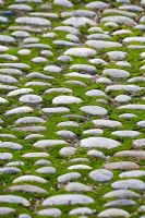 Detail of cobble paving with moss