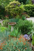 Small well designed town garden with birdbath in border with Cistus - Queens Gate, Bristol
