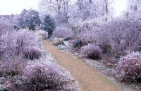The entrance borders with winter hoar frost - Parham, Sussex 
