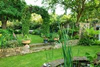 Secluded town garden with low wall and steps between different levels and Hornbeam arch - New Square, Cambridge