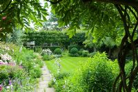 Garden with herbaceous border, path, neatly mown lawn, dividing hedge under pleached field maples. Roses and Geraniums. Foliage and sinuous branches of Wisteria.