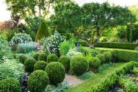 Formal garden with clipped box balls, gravel paths, roses, herbaceous perennials and view to lawns with box hedging and ancient apple tree - Cerne Abbas, Dorset