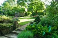 Low steps into country garden with lawn and outbuilding, Bergenia in flowerbeds and beech hedge - Cerne Abbas, Dorset